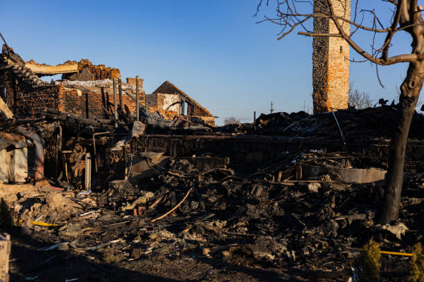 Reliable Content Restoration contractor in Bethel, WA by Meridian Smoke Damage
